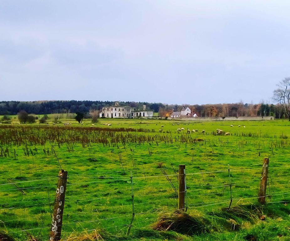 Galway Glamping Hotel Tuam Exterior foto